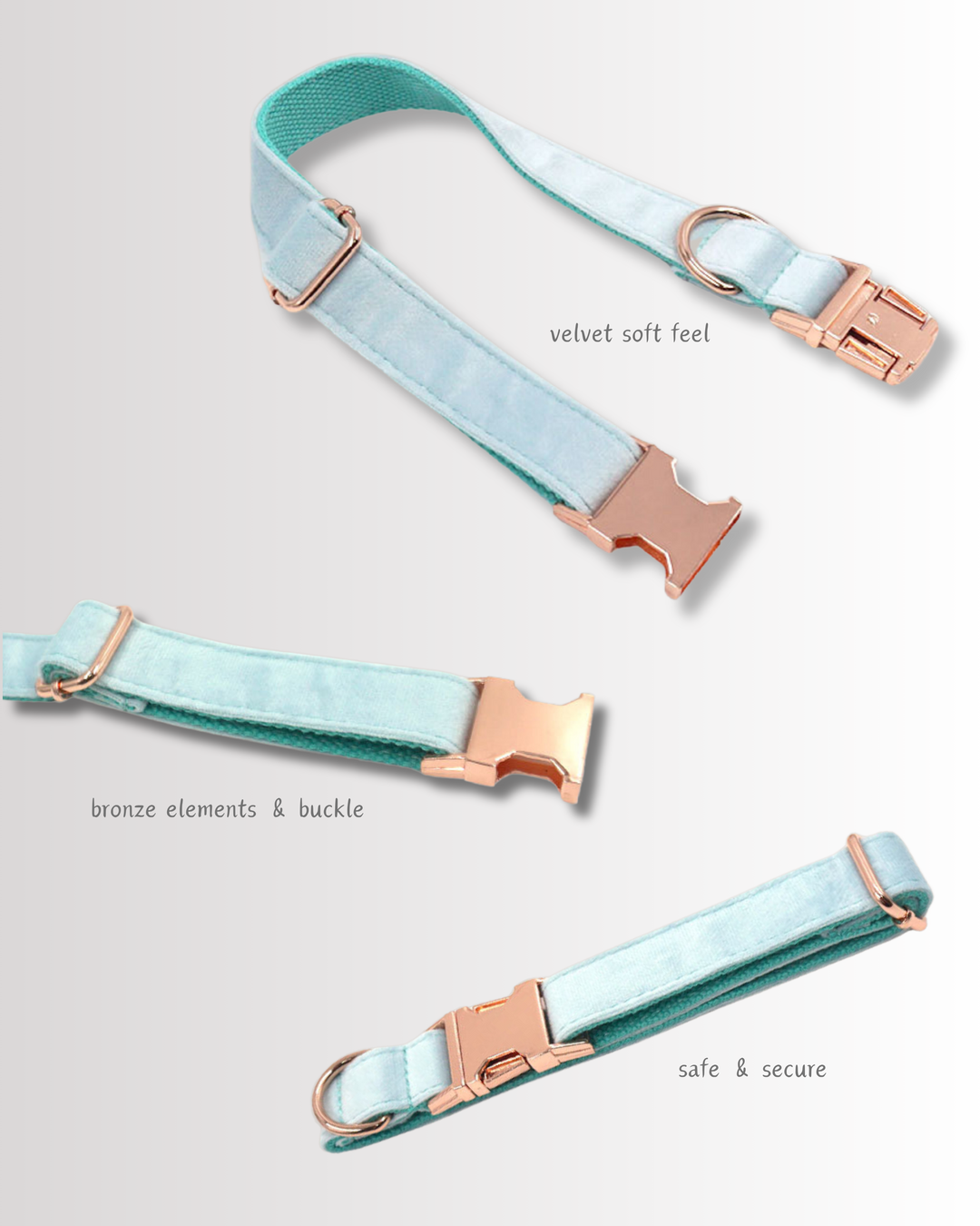 Aqua Velvet Collar