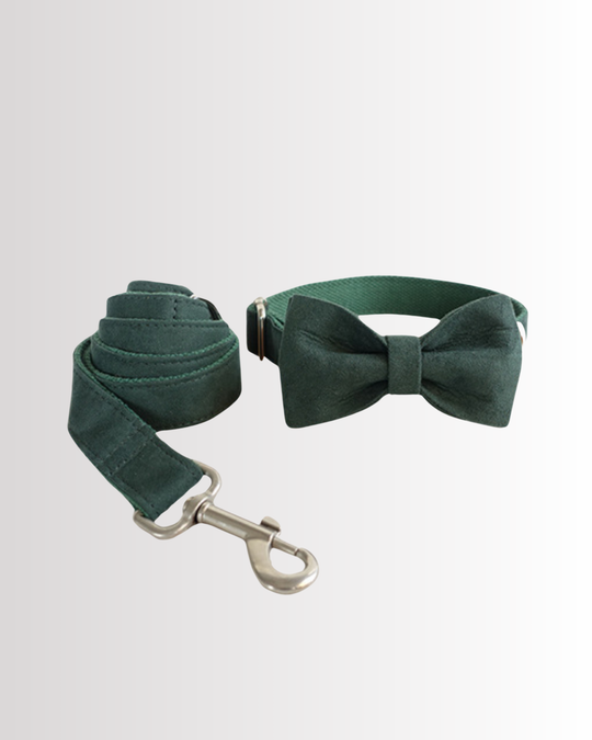 Green Velvet Set + Bow