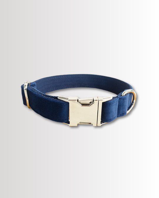 Blue Velvet Collar