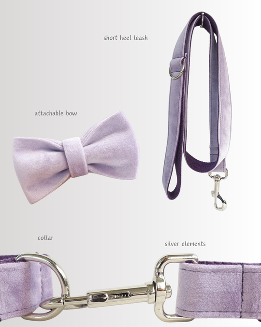 Lilac Velvet Set + Bow