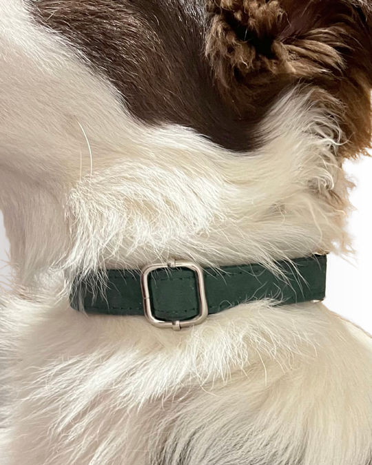 Green Velvet Collar