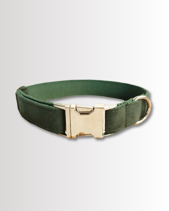 Green Velvet Collar