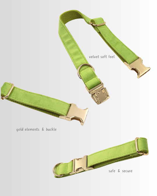 Matcha Velvet Collar