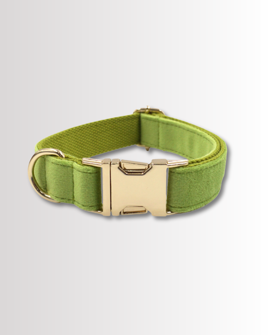 Matcha Velvet Collar