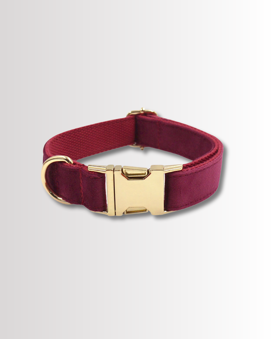 Burgundy Velvet Collar