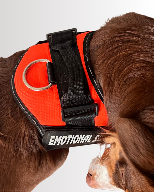 Emotional Support Harness Orange