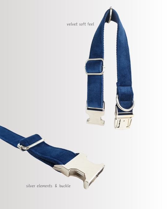 Blue Velvet Collar