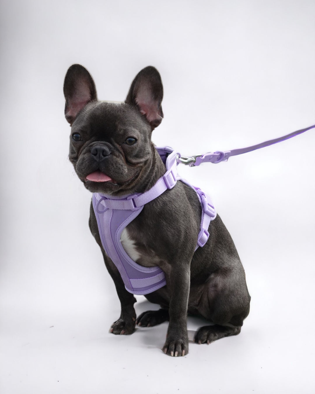 Premium Walk Set™ Lilac